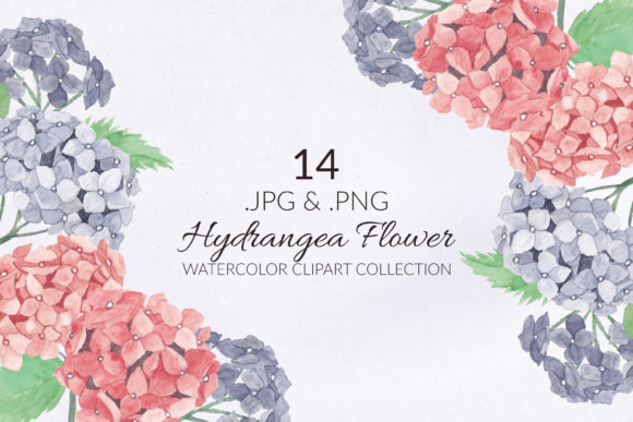 14 Hydrangea Flower Watercolor Set & Illustrations