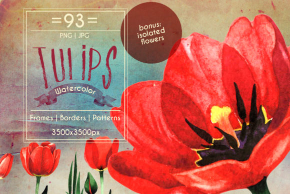 Amazing Tulips PNG Watercolor Flower Set