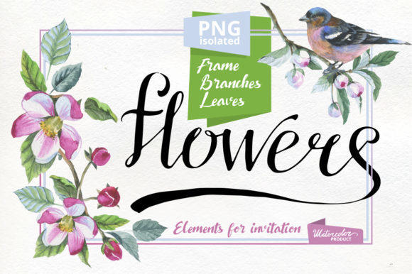 Apple Blossom PNG Flowers Watercolor Set Illustrations