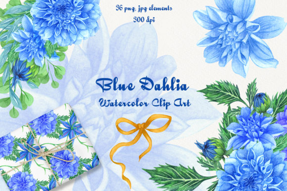 Blue Dahlia Flowers Watercolor Clipart and Illustrations