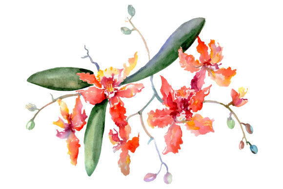 Bouquet Kaleidoscope Watercolor Illustrations