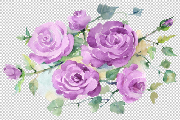 Bouquet with Purple Roses Watercolor Illustrations