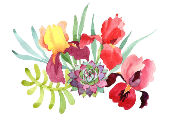 Bouquet with Red Irises Watercolor Illustrations
