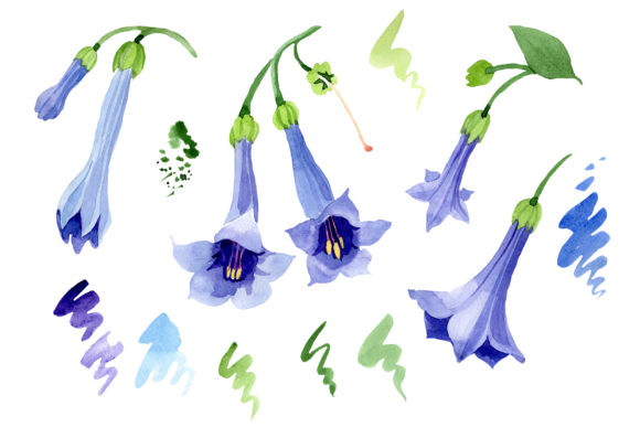 Brugmansia Blue Watercolor PNG