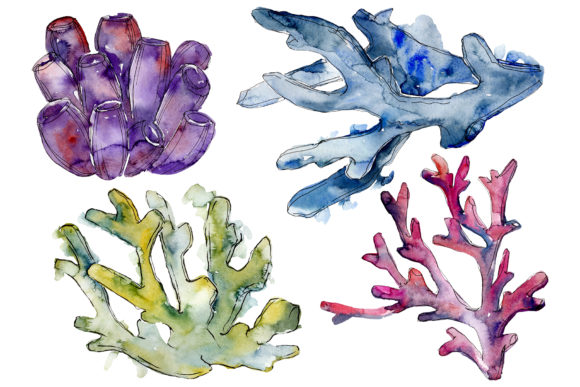 Corals Seascape Watercolor PNG