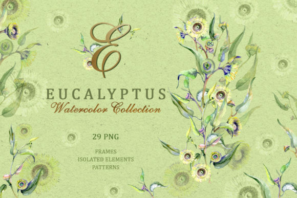 Eucalyptus Green Watercolor Png and Illustrations