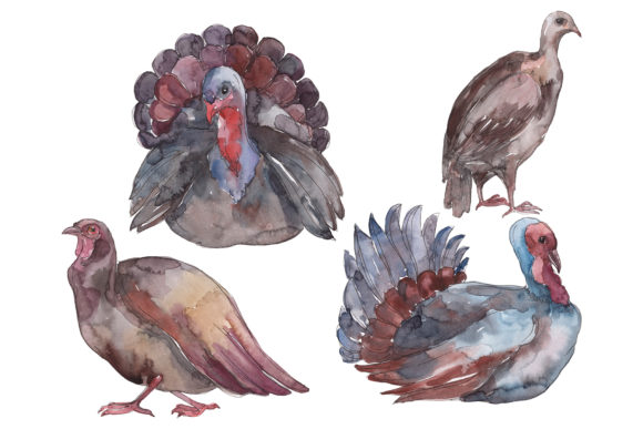 Farm Animals Turkey Watercolor Png