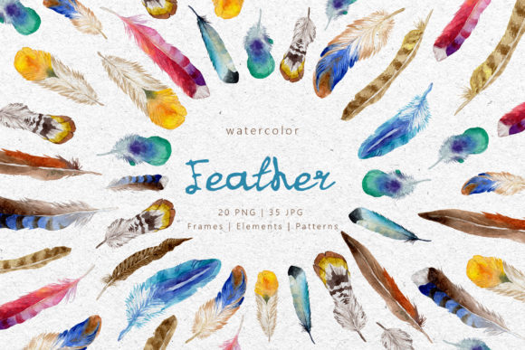 Feather Watercolor Png and Illustrations