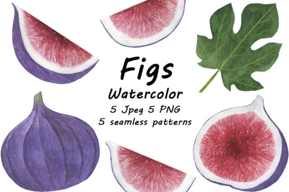 Fig Fruits Watercolor Illustrations
