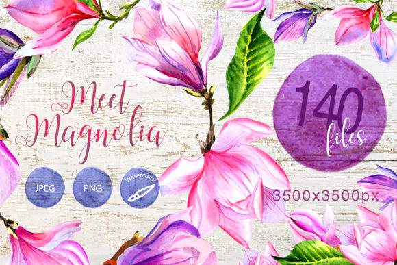 Meet Magnolia Watercolor Flower Set Illustrations