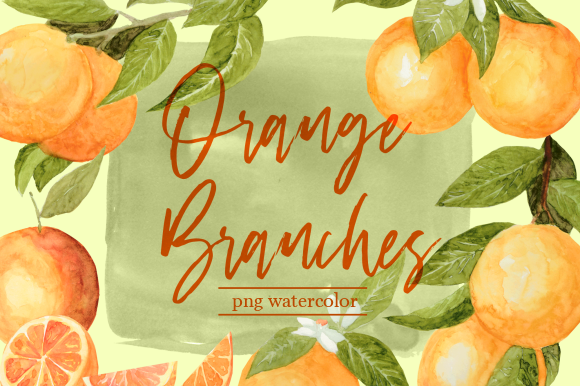 Orange Branches Watercolor Clipart Set and Illustrations