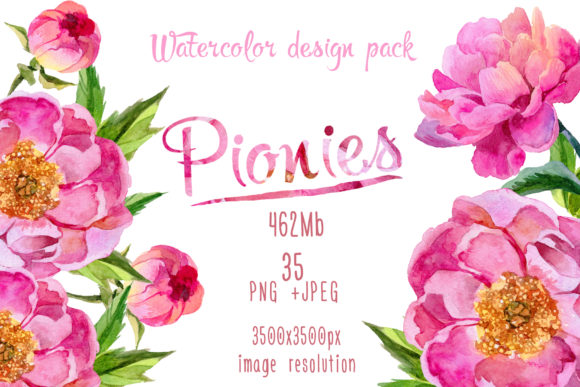 Paradise Pink Peonies PNG Watercolor Set and Illustrations