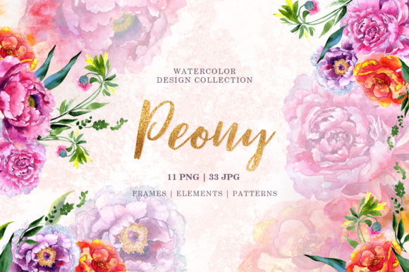Peony Red and Pink Watercolor Png Illustrations