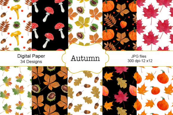 Seamless Pattern Autumn Watercolor Illustrations