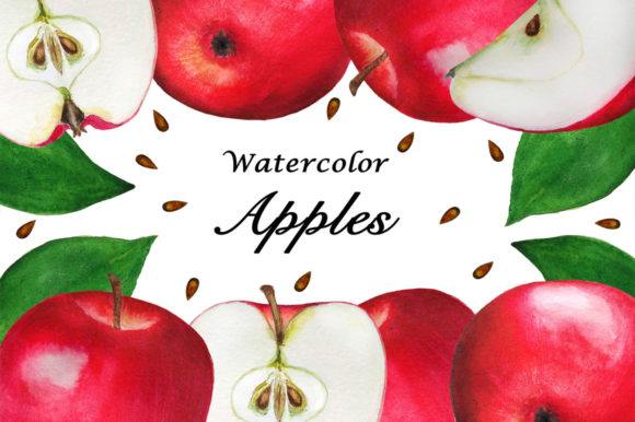 Set Apples Watercolor Illustration