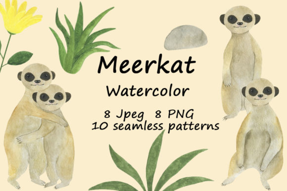 Set Meerkats Illustrations Watercolor