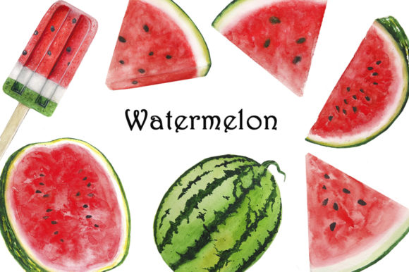 Set Watermelon Watercolor Illustration