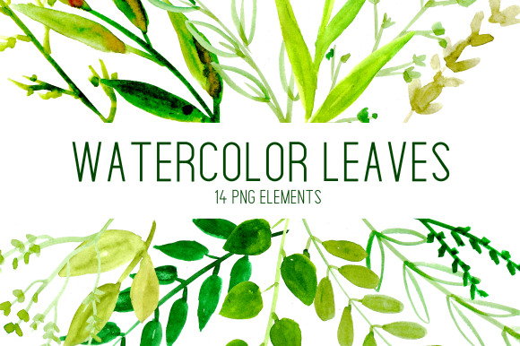 Simple Watercolor Leaves Clipart Set