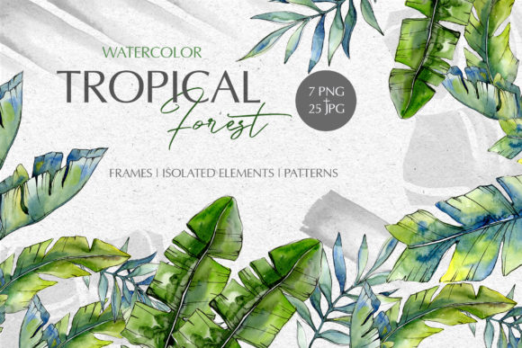 Tropical Forest Watercolor Illustrations