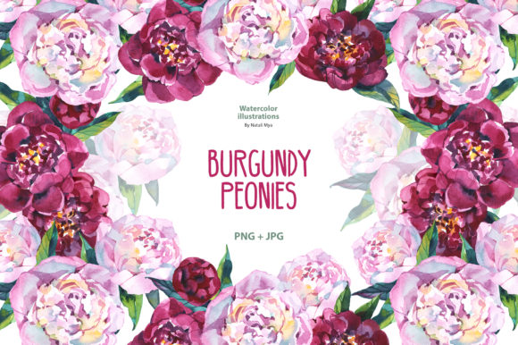 Watercolor Burgundy Peonies Illustrations