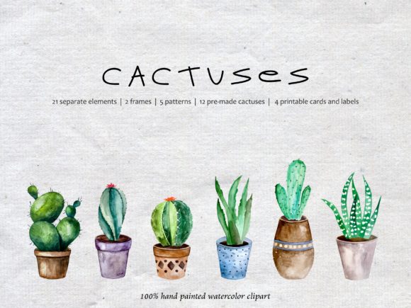 Watercolor Cacti, Watercolor Succulent Illustrations
