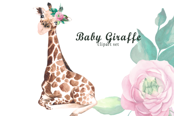 Watercolor Safari Baby Giraffe Clipart and Illustrations