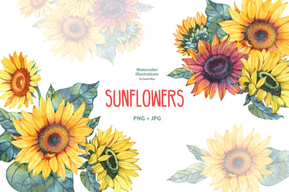 Watercolor Sunflowers Illustrations