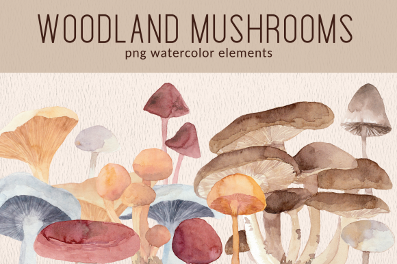 Woodland Forest Mushrooms Watercolor Set and Illustrations